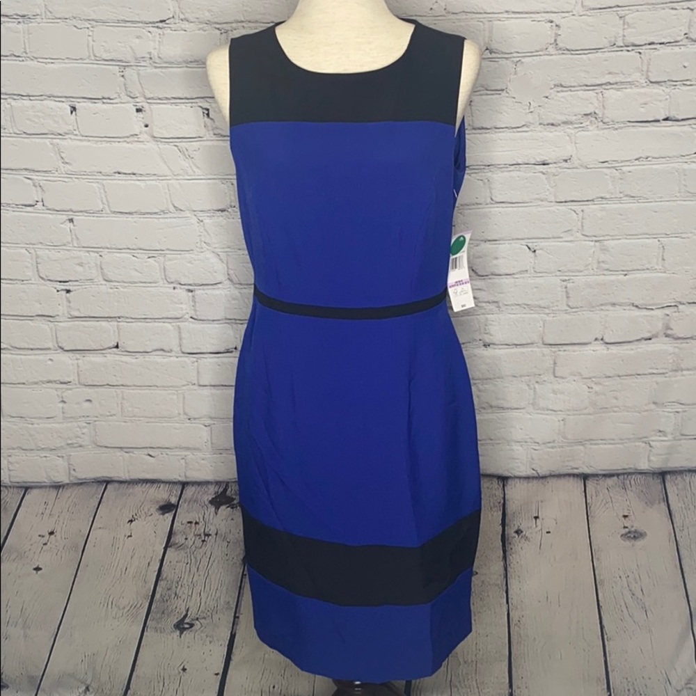 BLACK LABEL BY EVAN-PICONE SLEEVLESS DRESS - Picture 1 of 6
